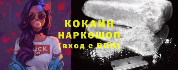 мяу мяу мука Аркадак