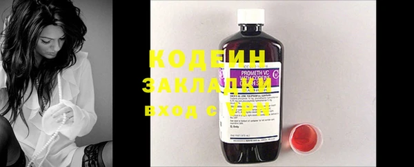 индика Дмитров