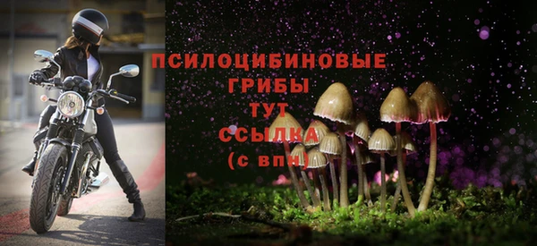 МДПВ Армянск
