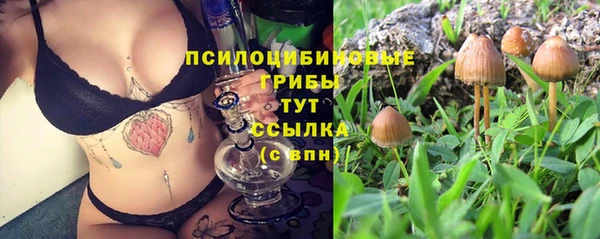 мяу мяу мука Аркадак