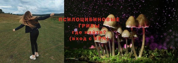 мяу мяу мука Аркадак