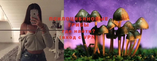 мяу мяу мука Аркадак
